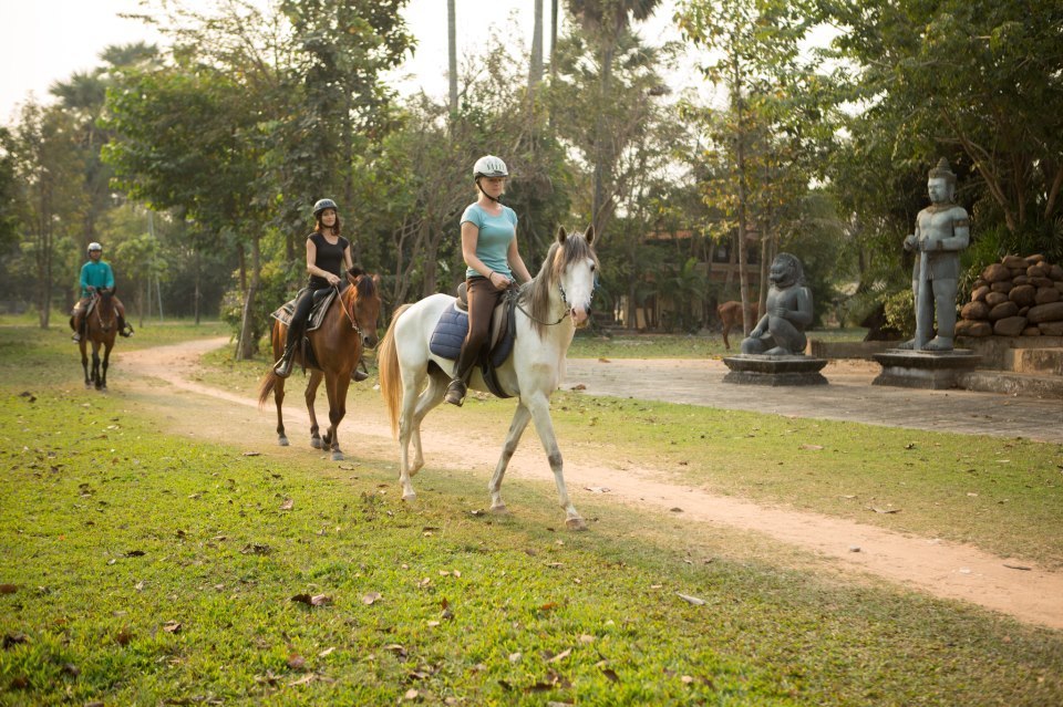 The Happy Ranch Horse Farm